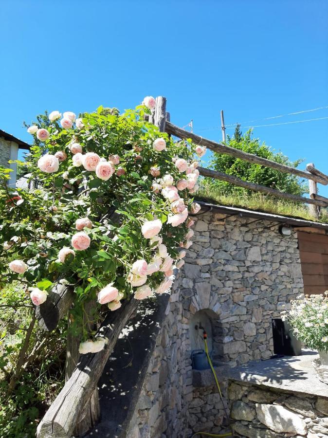 Affittacamere La Lea Roccaforte Mondovì Dış mekan fotoğraf